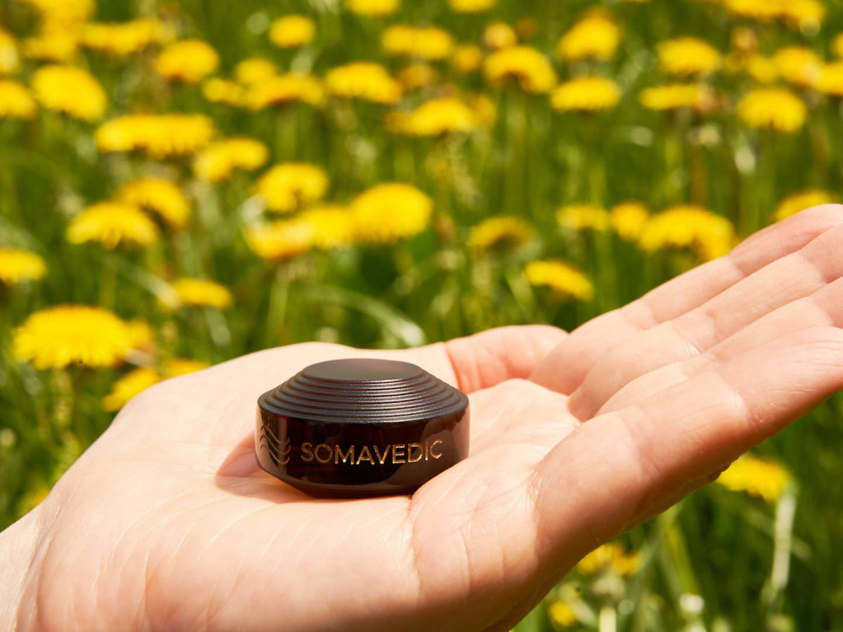 Palm holding the Somavedic Tiny black in a field of yellow dandelions