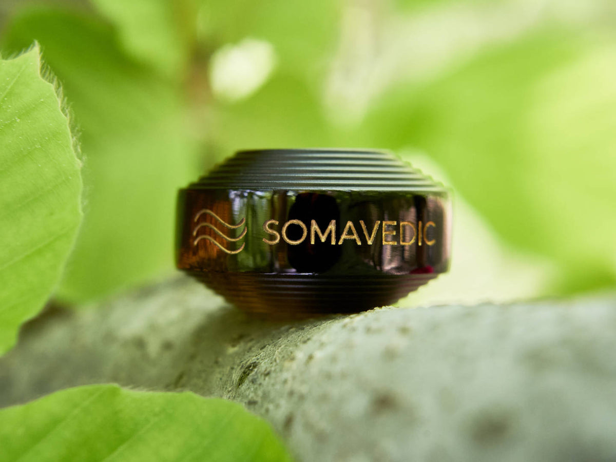 Somavedic Tiny black on a mossy branch among green leaves