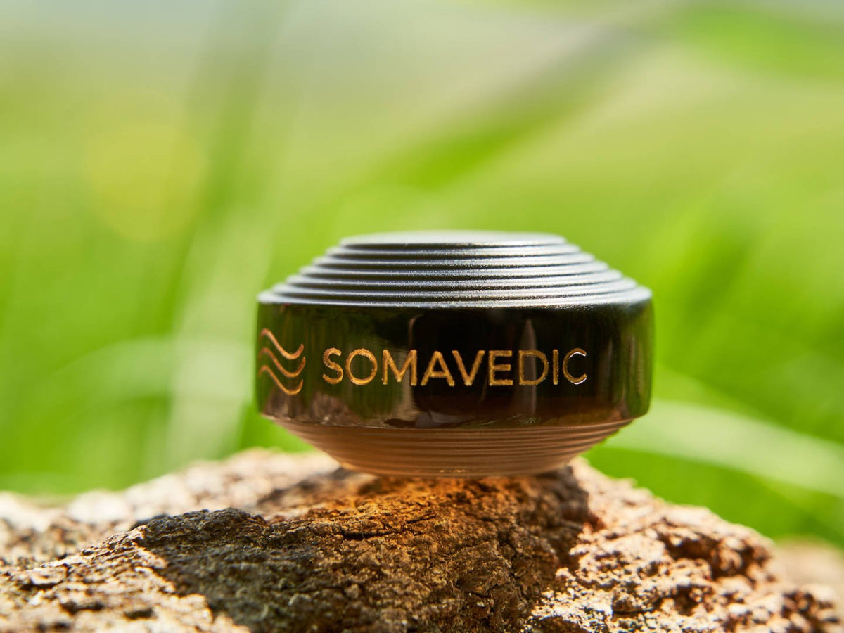 Somavedic Tiny black on a rock in green grass