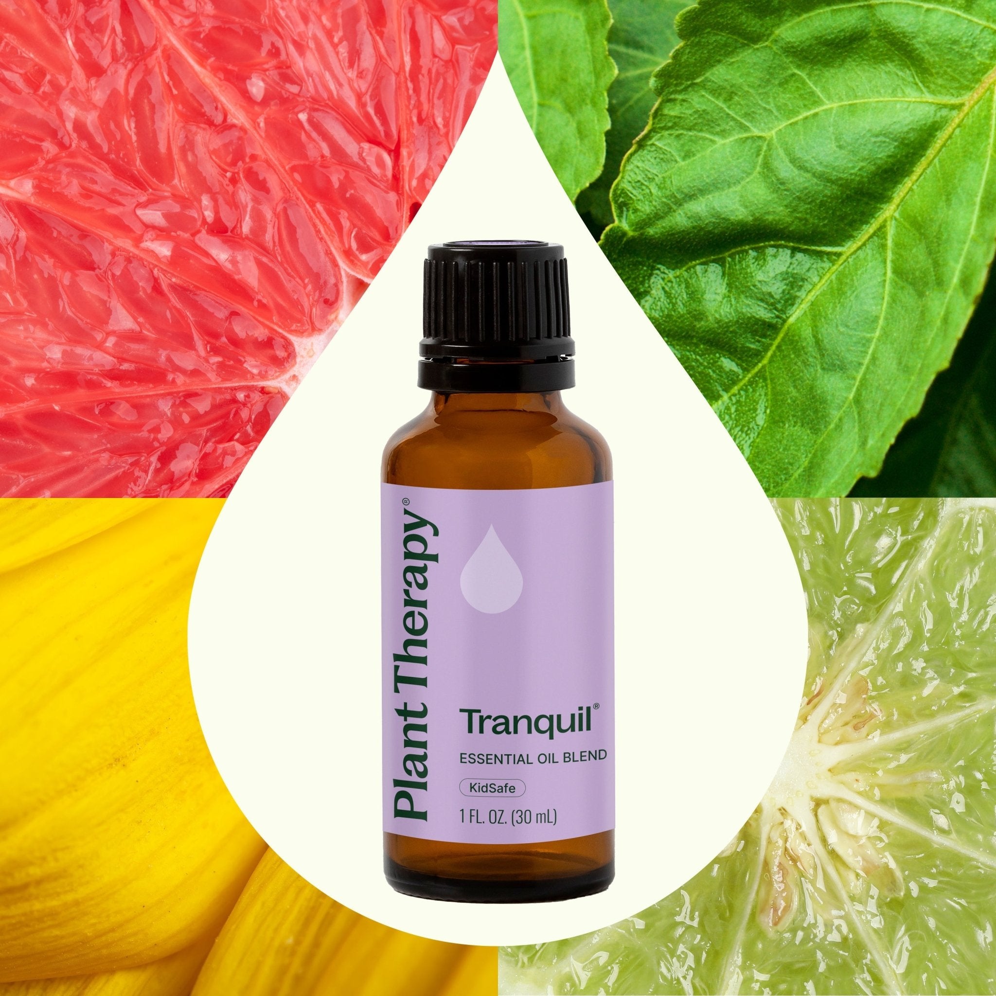 Tranquil Essential Oil Blend Plant Therapy