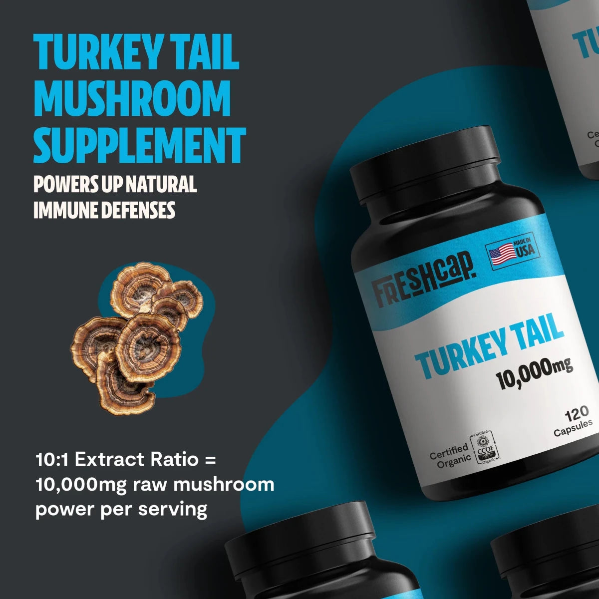 FreshCap Mushrooms Turkey Tail Capsules: 10:1 extract ratio equals 10,000mg raw mushroom power per serving, 120 capsules