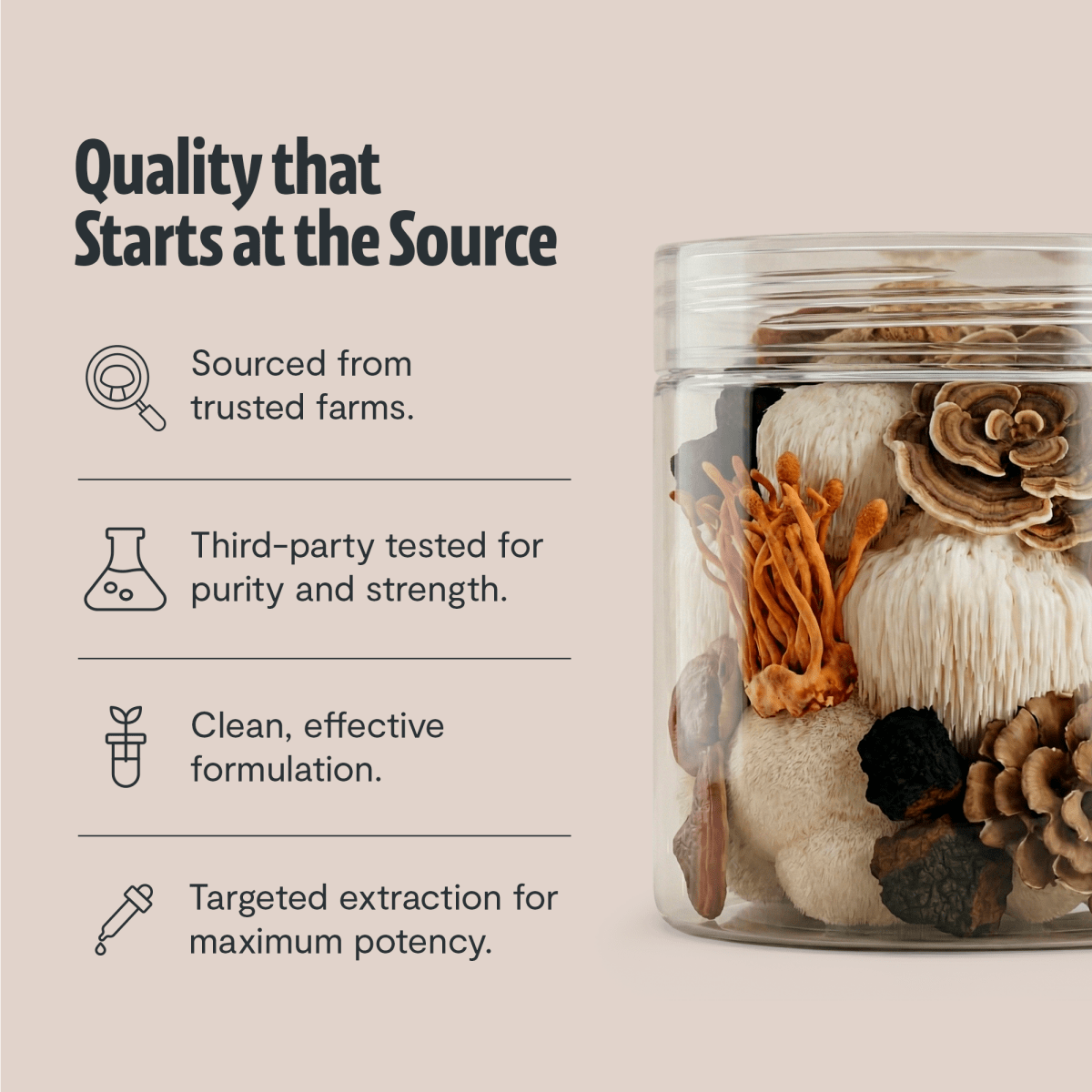 Ultimate Mushroom Complex Powder FreshCap Mushrooms