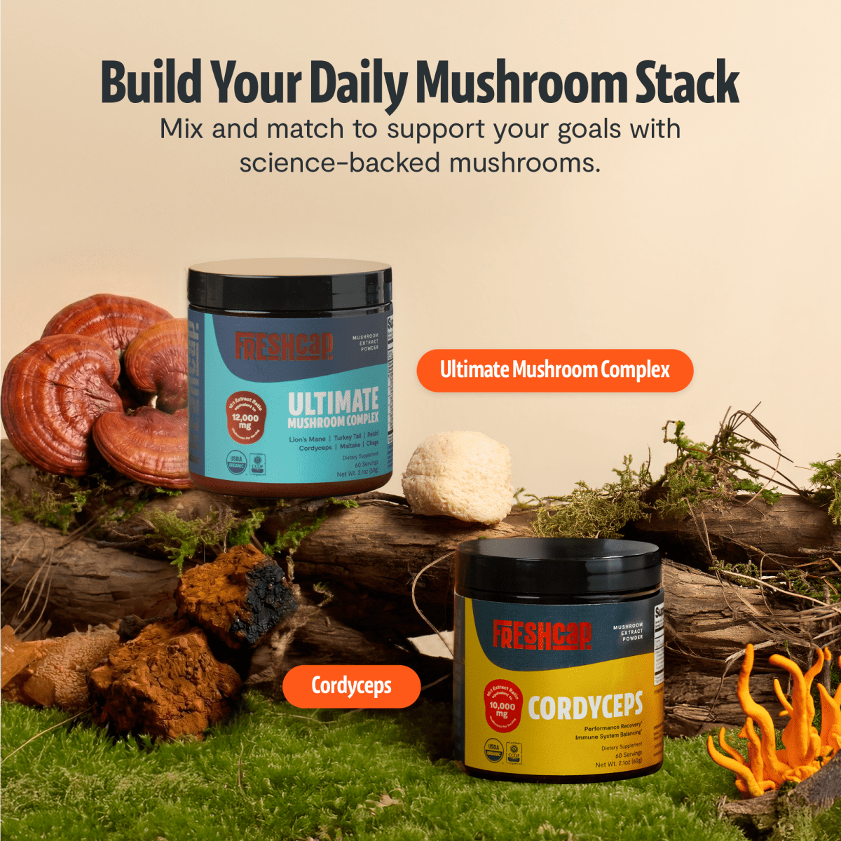 Ultimate Mushroom Complex Powder FreshCap Mushrooms