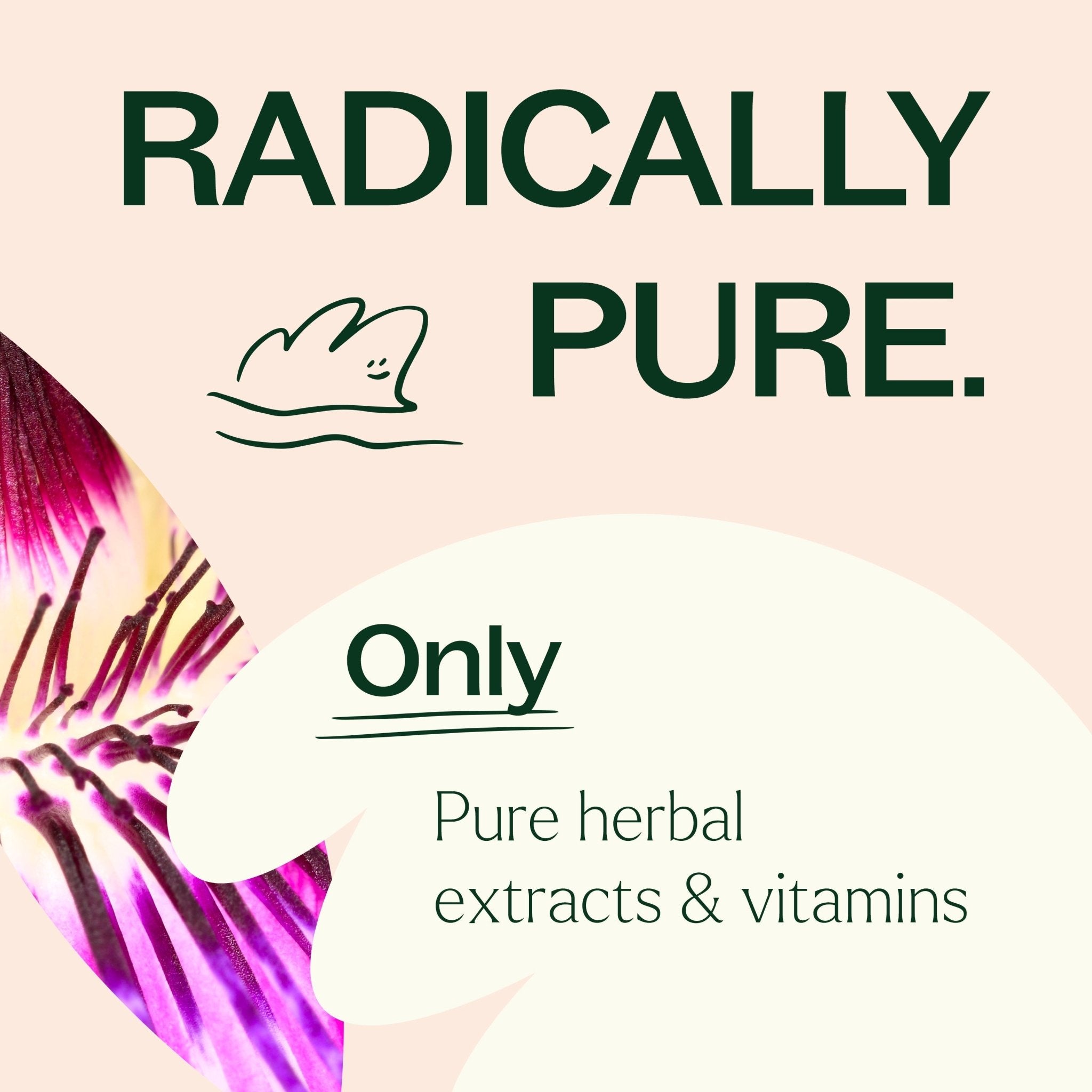 Unwind Your Mind Herbal Supplement - 120 Capsules Plant Therapy