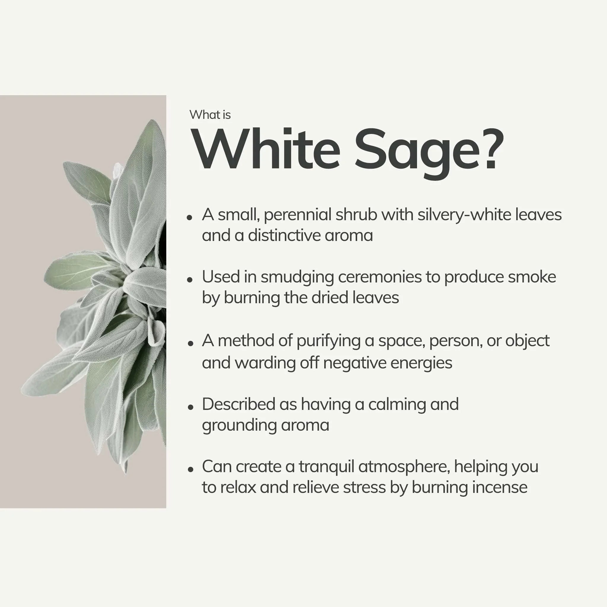 Organic White Sage Smudge Stick - Mini
