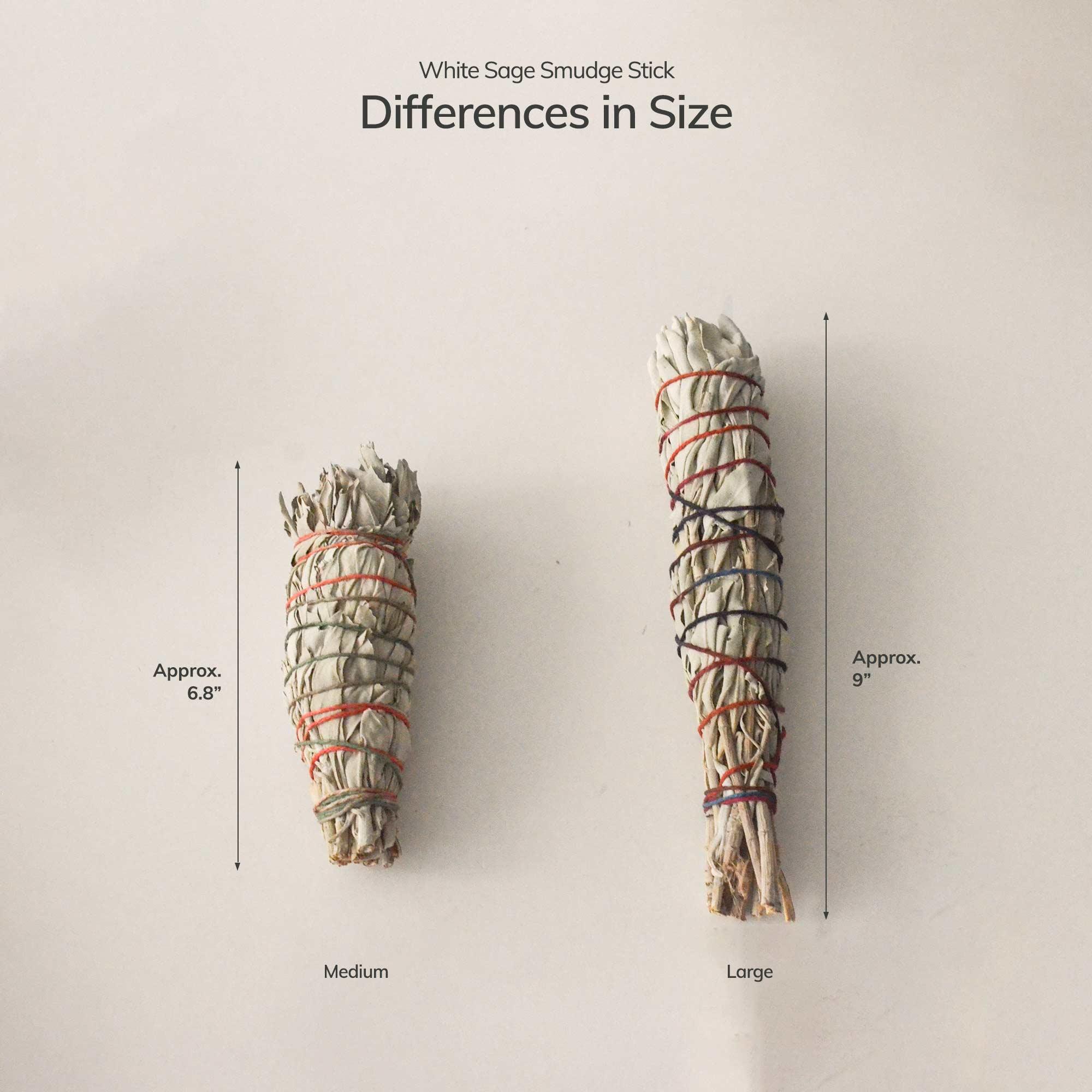 Organic White Sage Smudge Stick - Medium