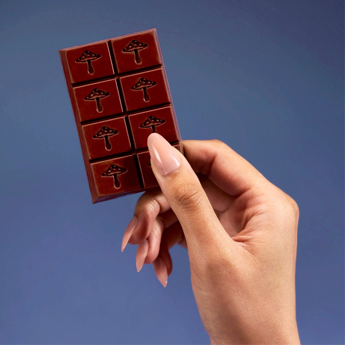 Zen-X Functional Mushroom Chocolates alice mushrooms