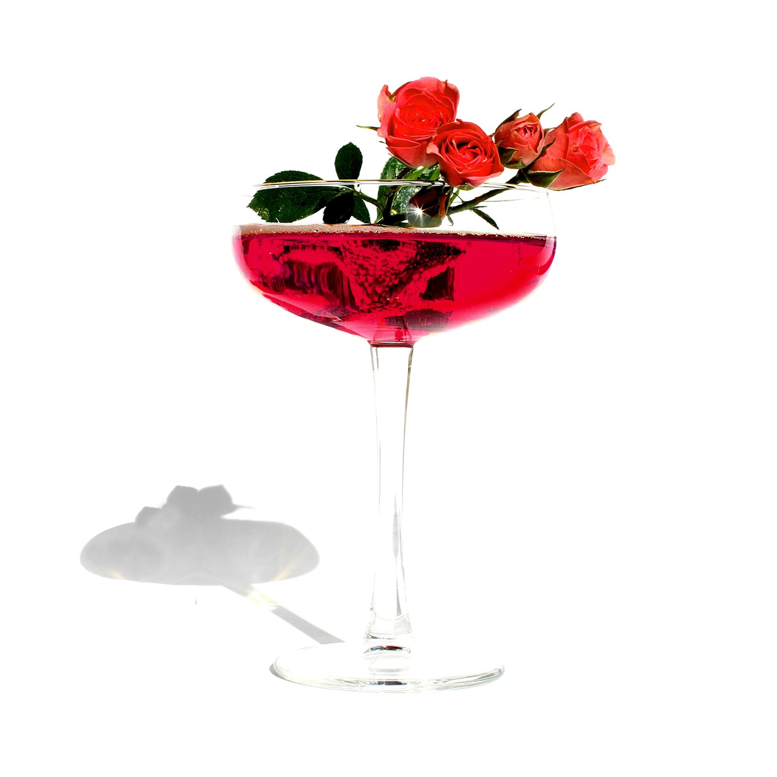 Curious Elixirs No. 9: The Latest Innovation in Alcohol-Free Cocktails