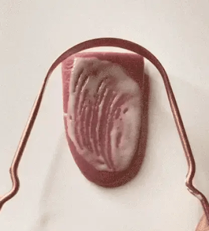 ✨ Tongue Scraping: The Ritual Your Morning’s Been Missing - Nanaka