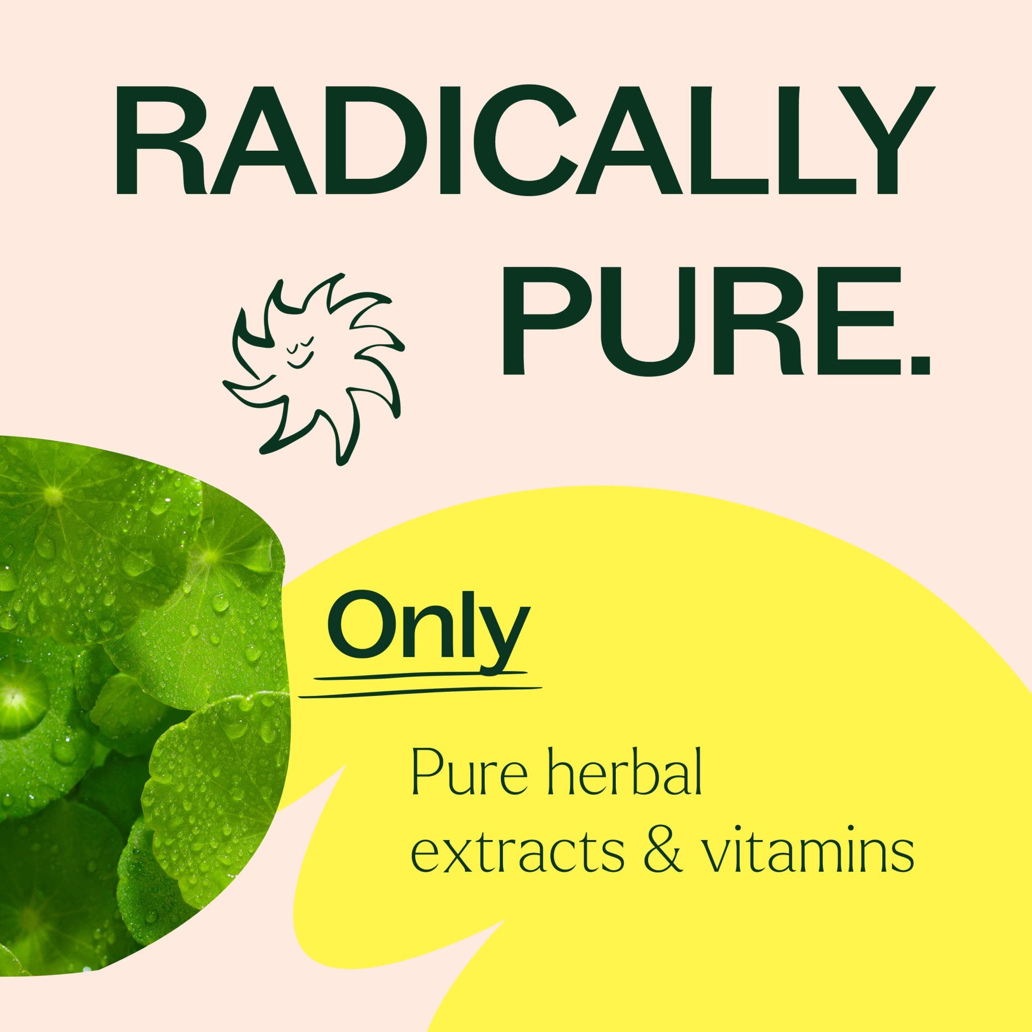 3 - in - 1 Hair, Skin & Nails Herbal Supplement - 120 Capsules Plant Therapy