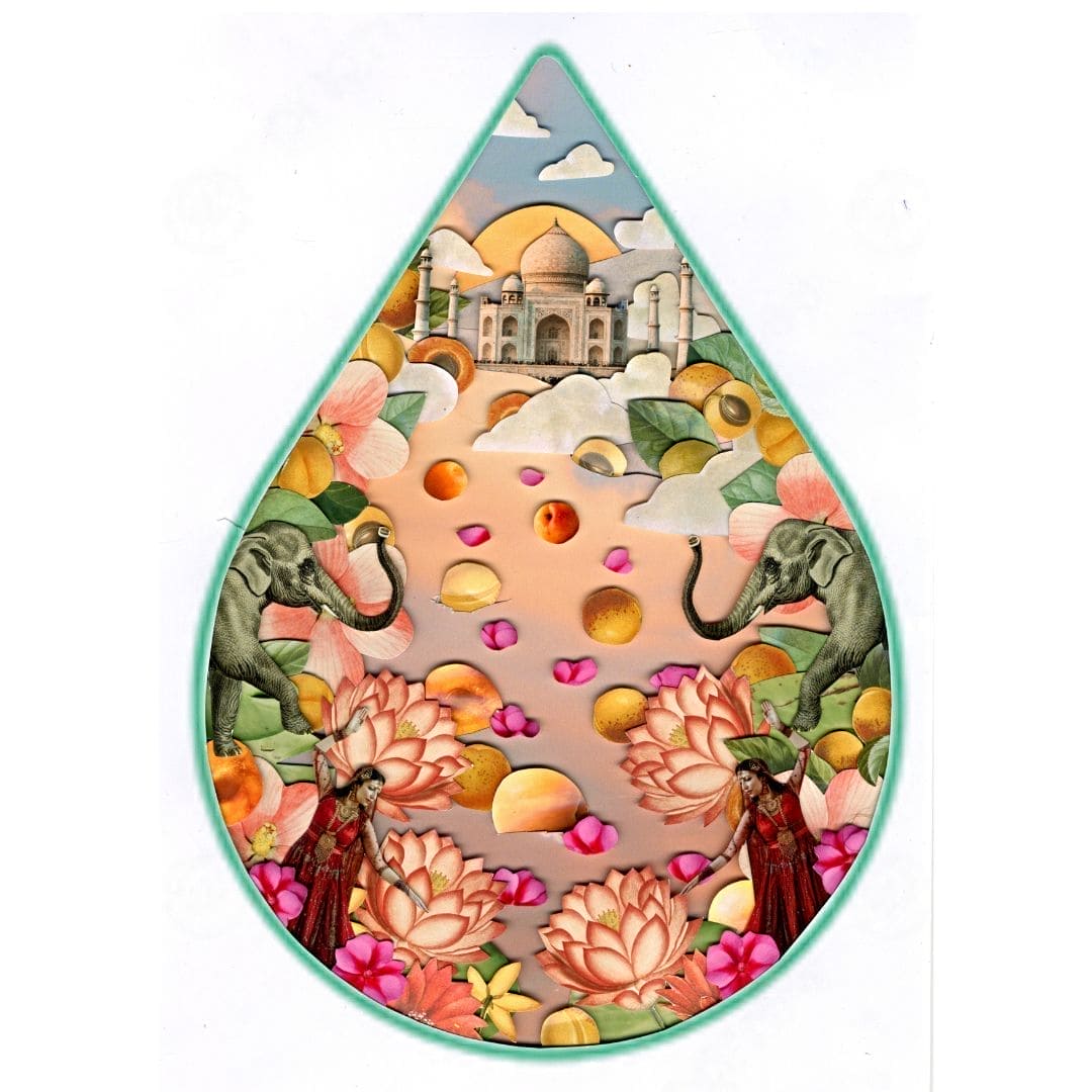 Aceite de Albaricoque, 100% Orgánico