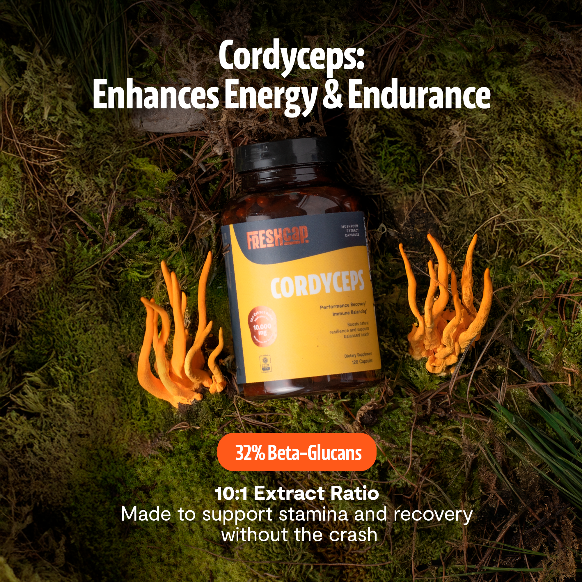 Cordyceps Mushroom Extract Capsules