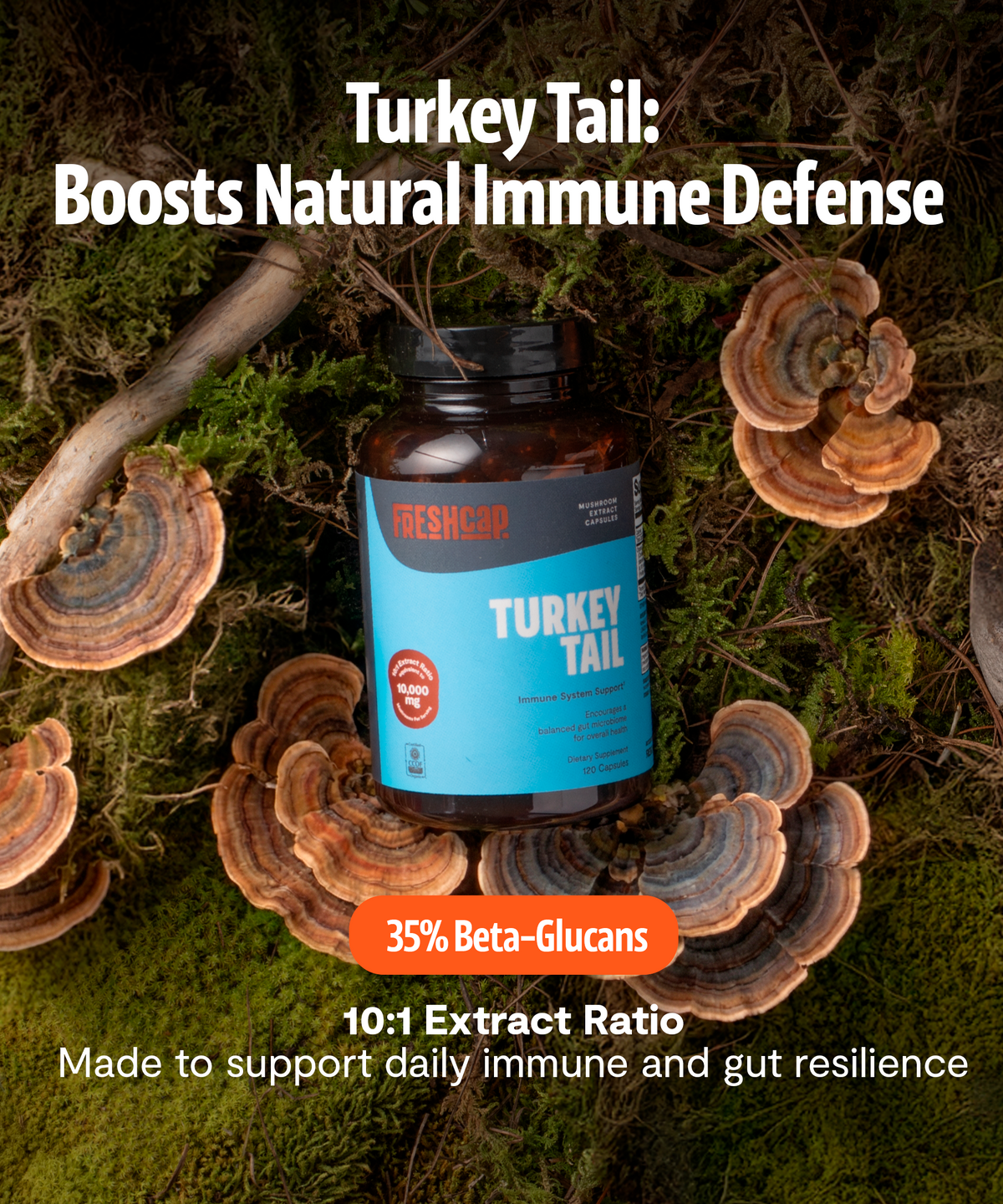FreshCap Mushrooms Turkey Tail Capsules on moss: boosts natural immune defense, 35% beta-glucans, 10:1 extract ratio