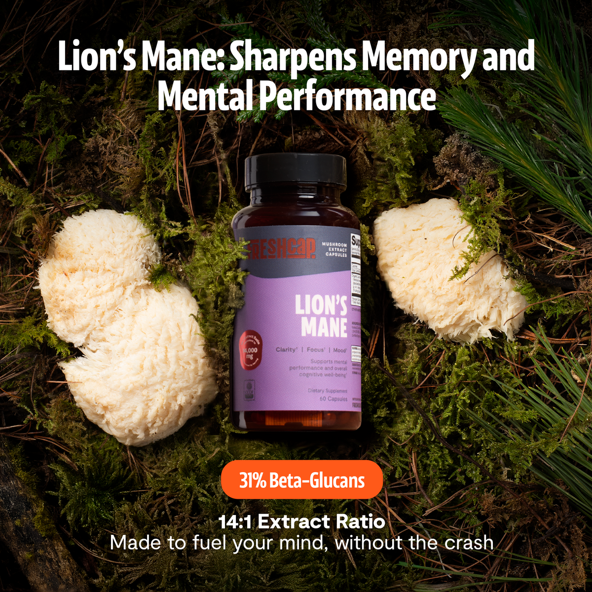 FreshCap Mushrooms Lion's Mane Capsules on moss: sharpens memory and mental performance, 31% beta-glucans, 14:1 extract ratio