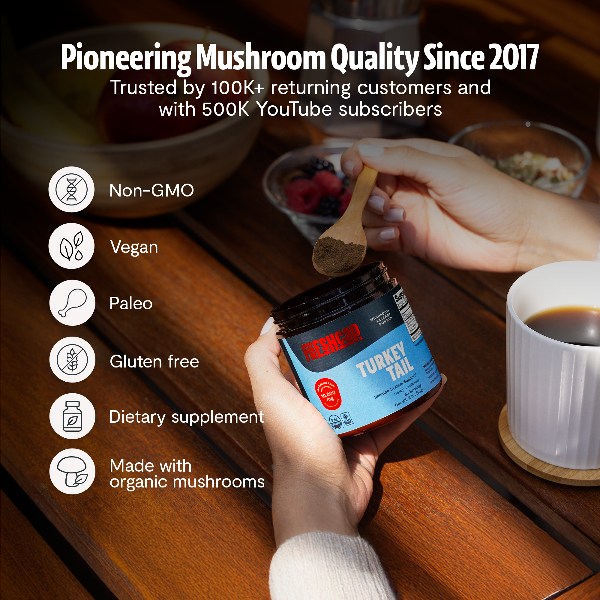 Turkey Tail Mushroom Extract Powder