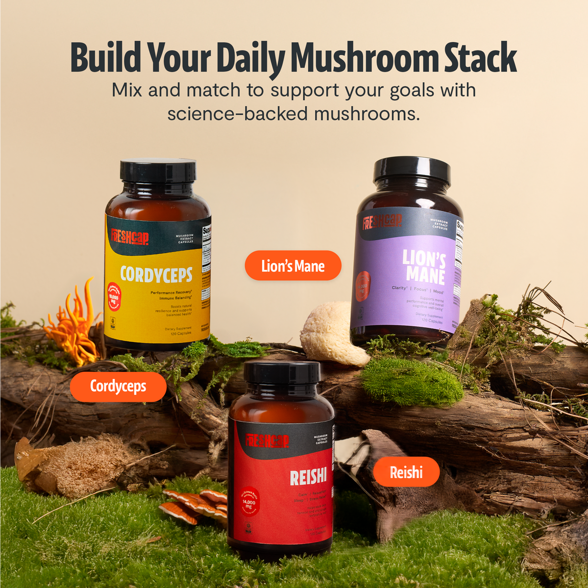 Build your daily mushroom stack: FreshCap Mushrooms Cordyceps Capsules with Lion's Mane and Reishi