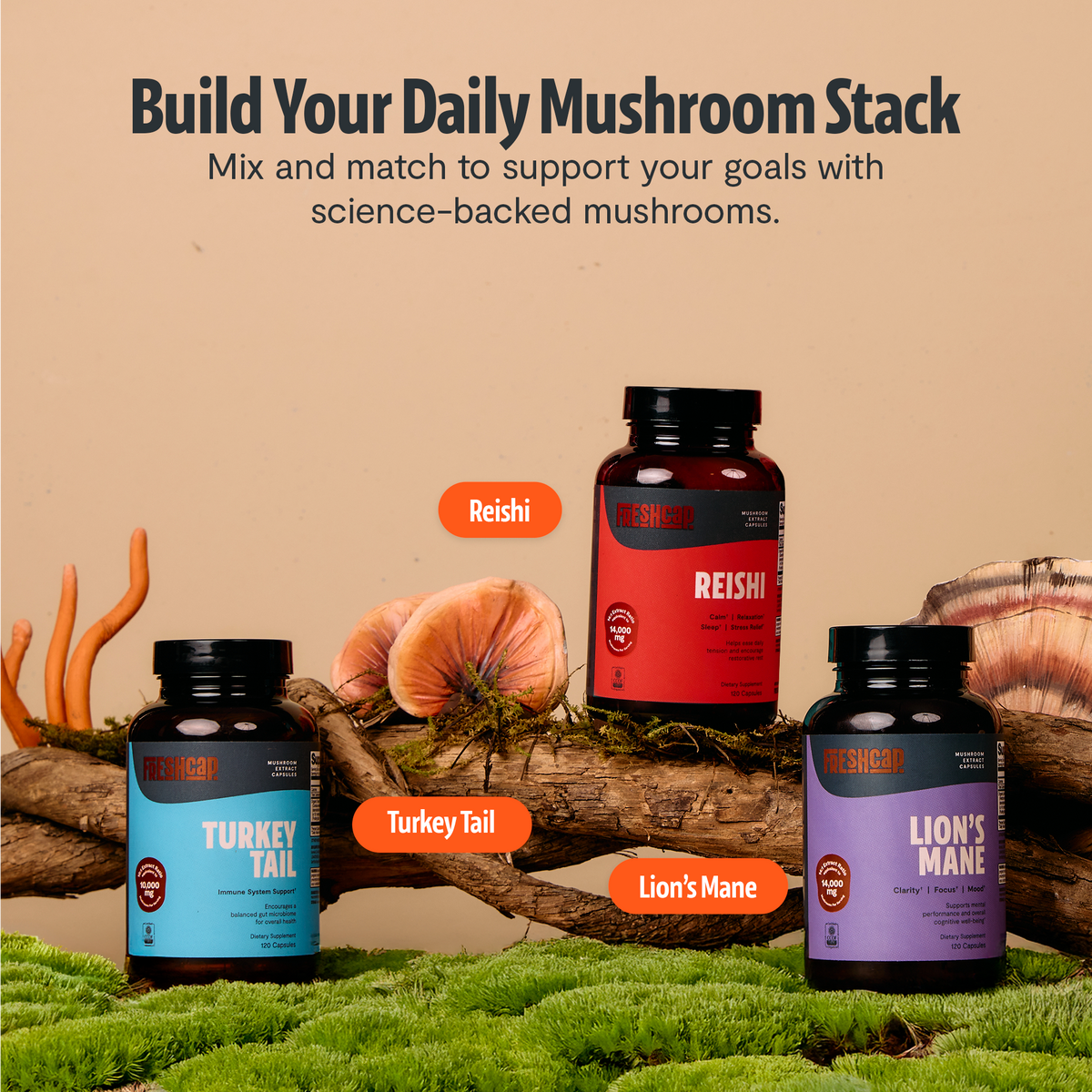 Build your daily mushroom stack: FreshCap Mushrooms Turkey Tail Capsules with Reishi and Lion's Mane