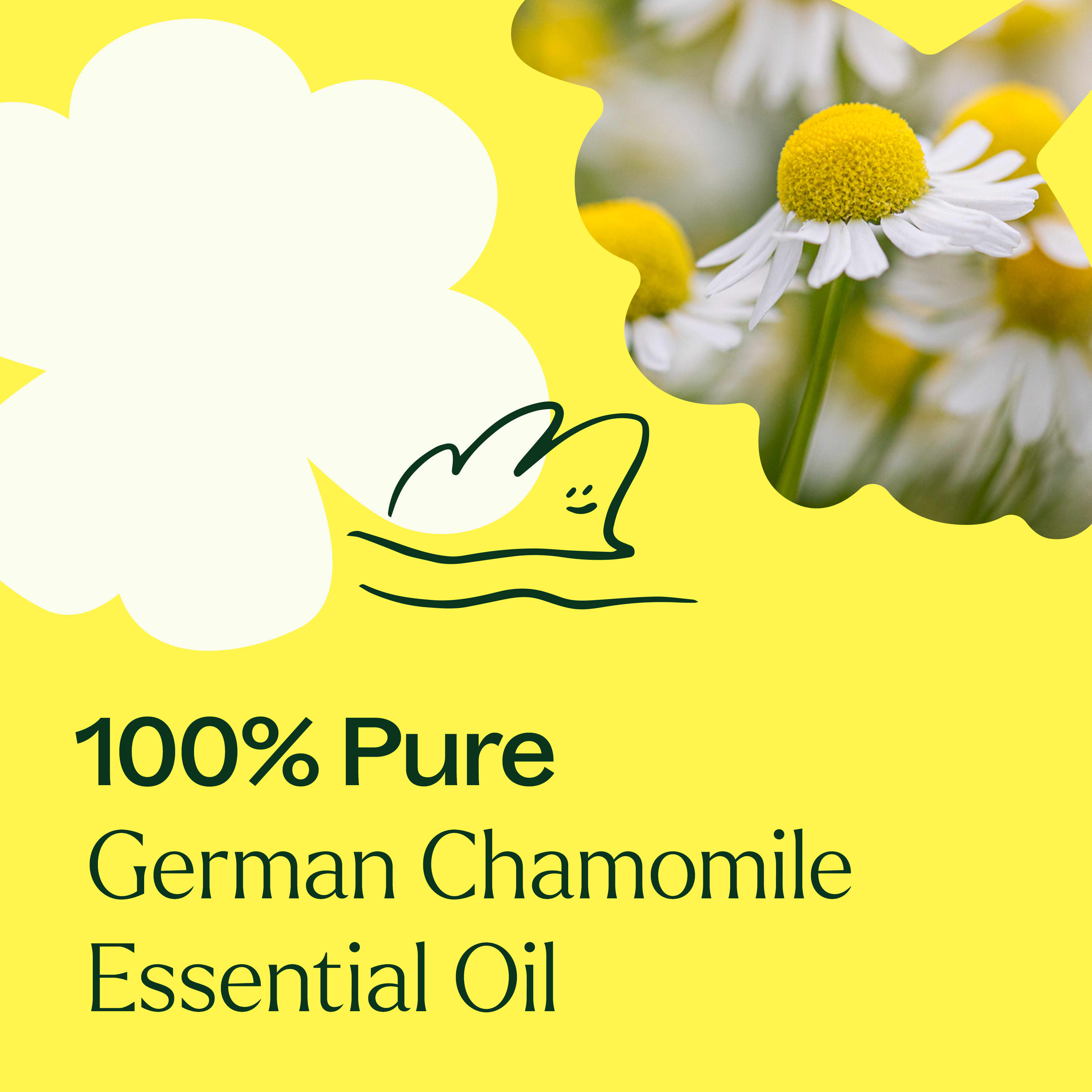 Aceite esencial de manzanilla alemana
