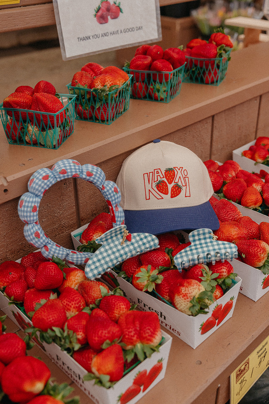 BLUE GINGHAM STRAWBERRY CHARM CLAW