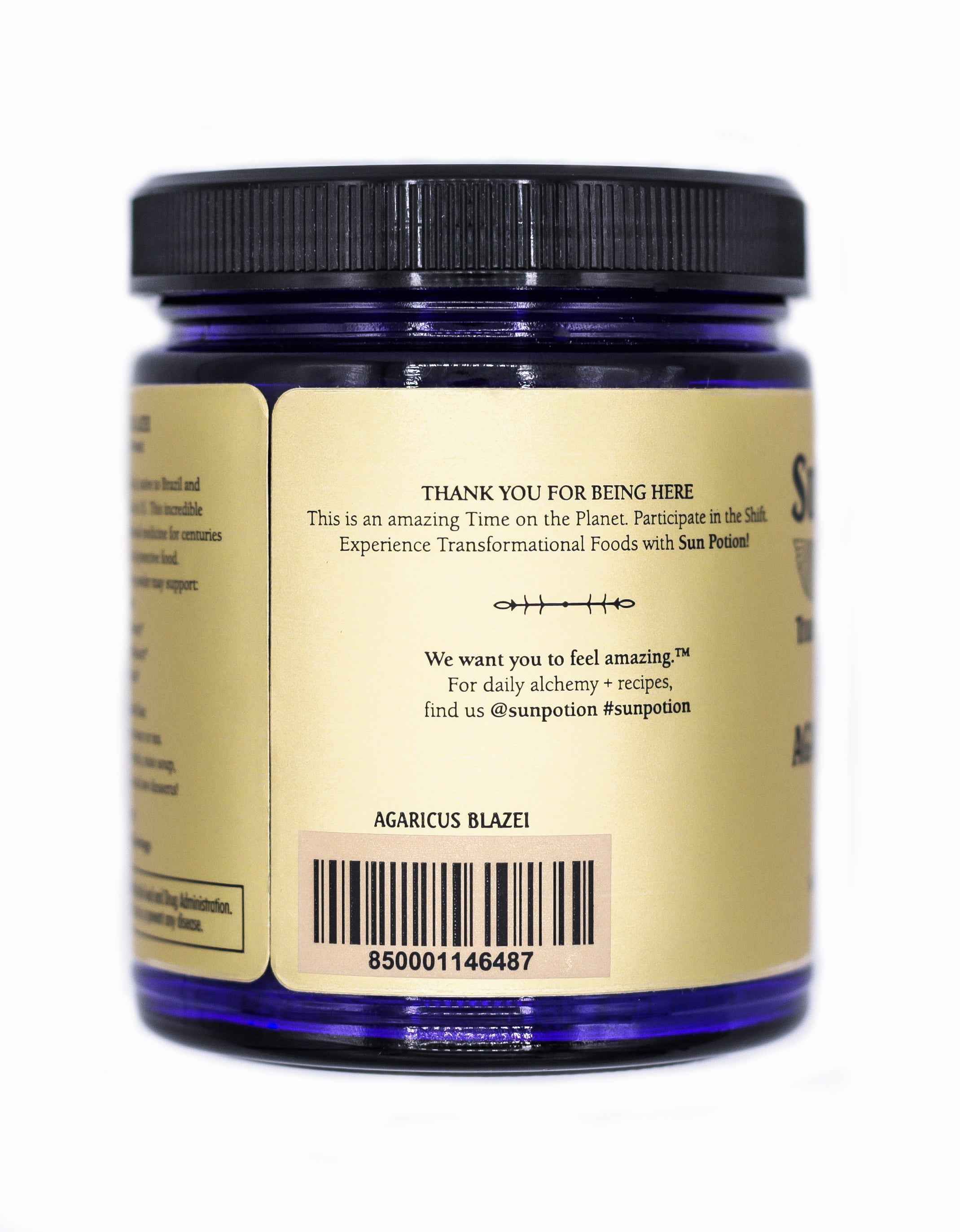 Agaricus Blazei (Organic) Sun Potion