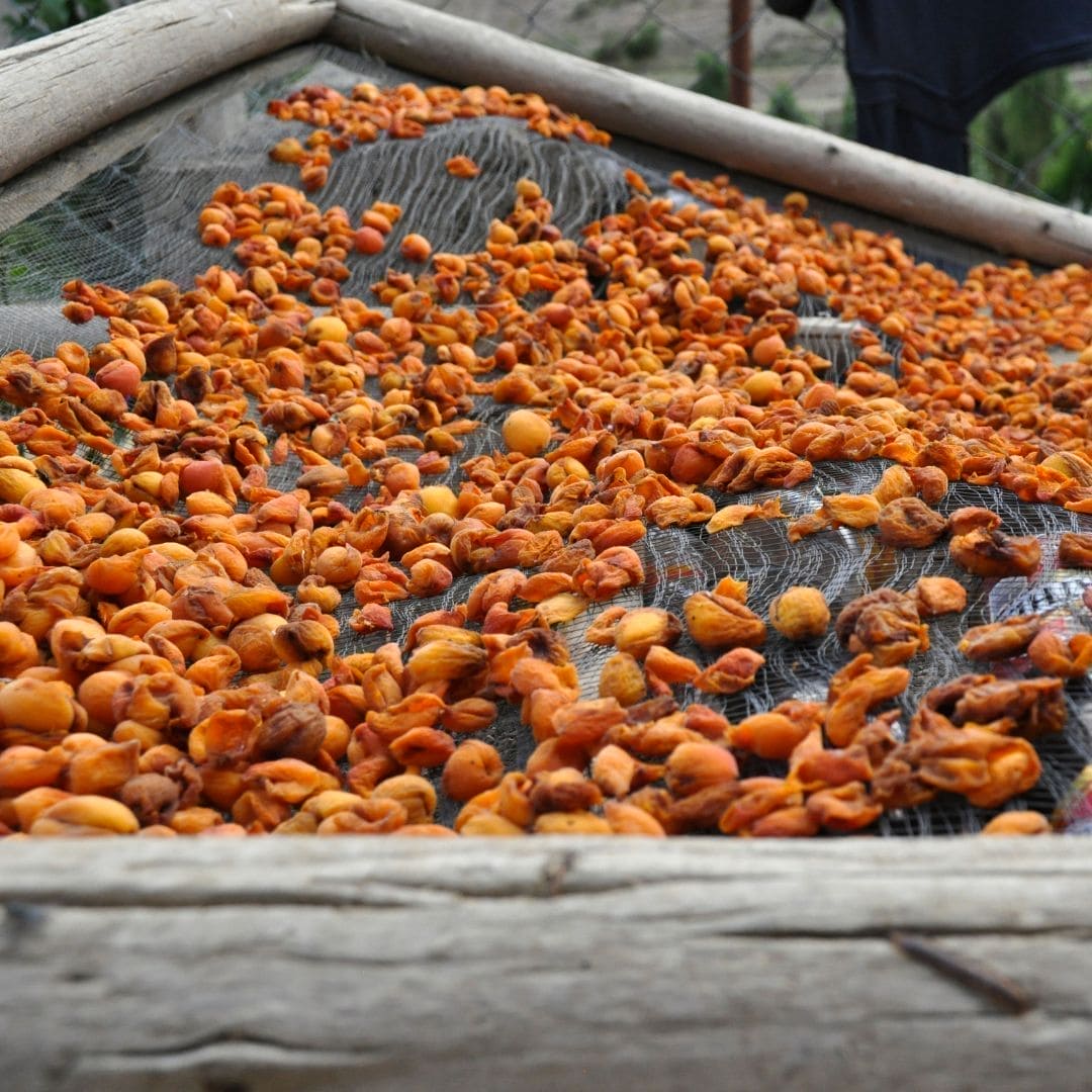 Aceite de Albaricoque, 100% Orgánico