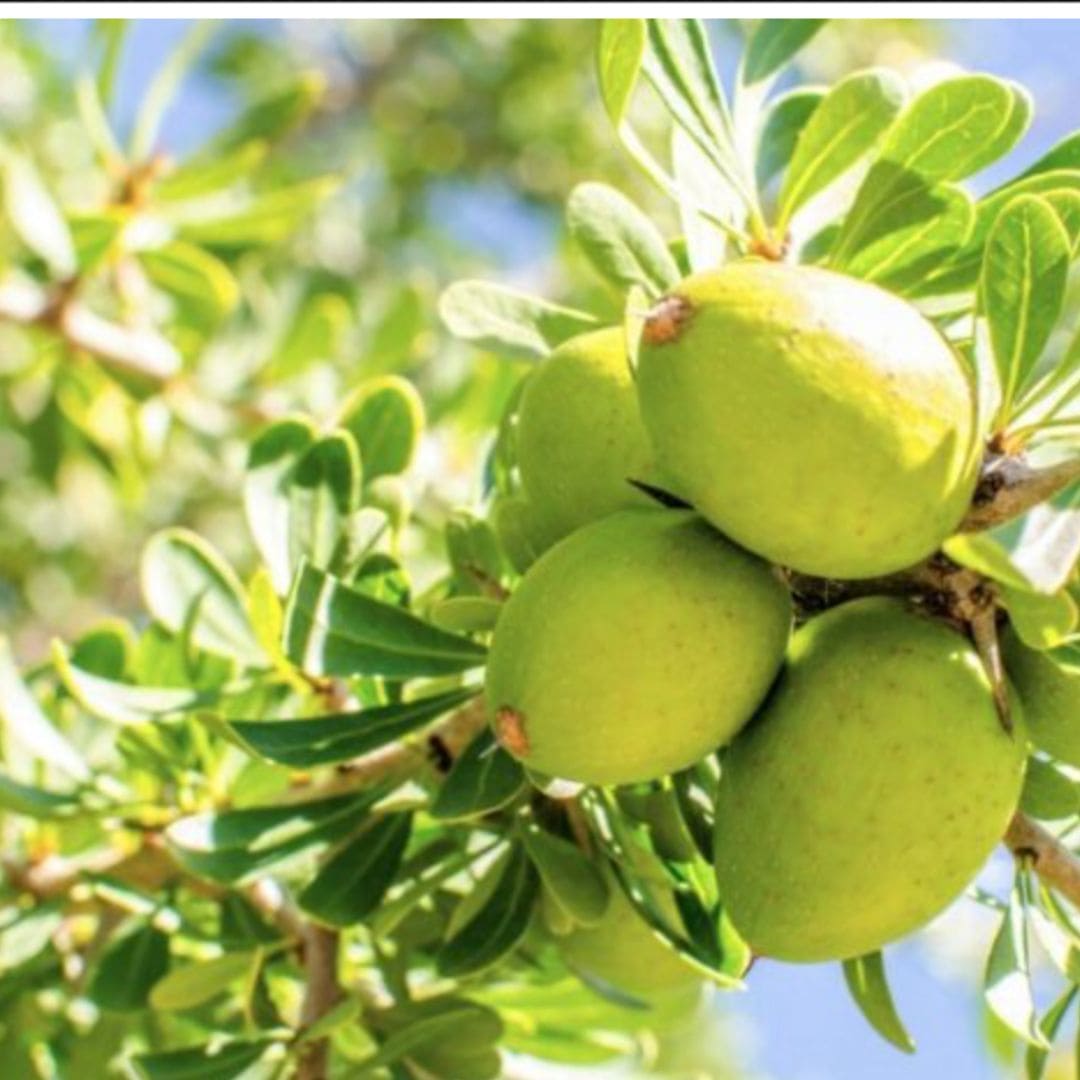 Argan Oil, 100% Organic Beautyologie