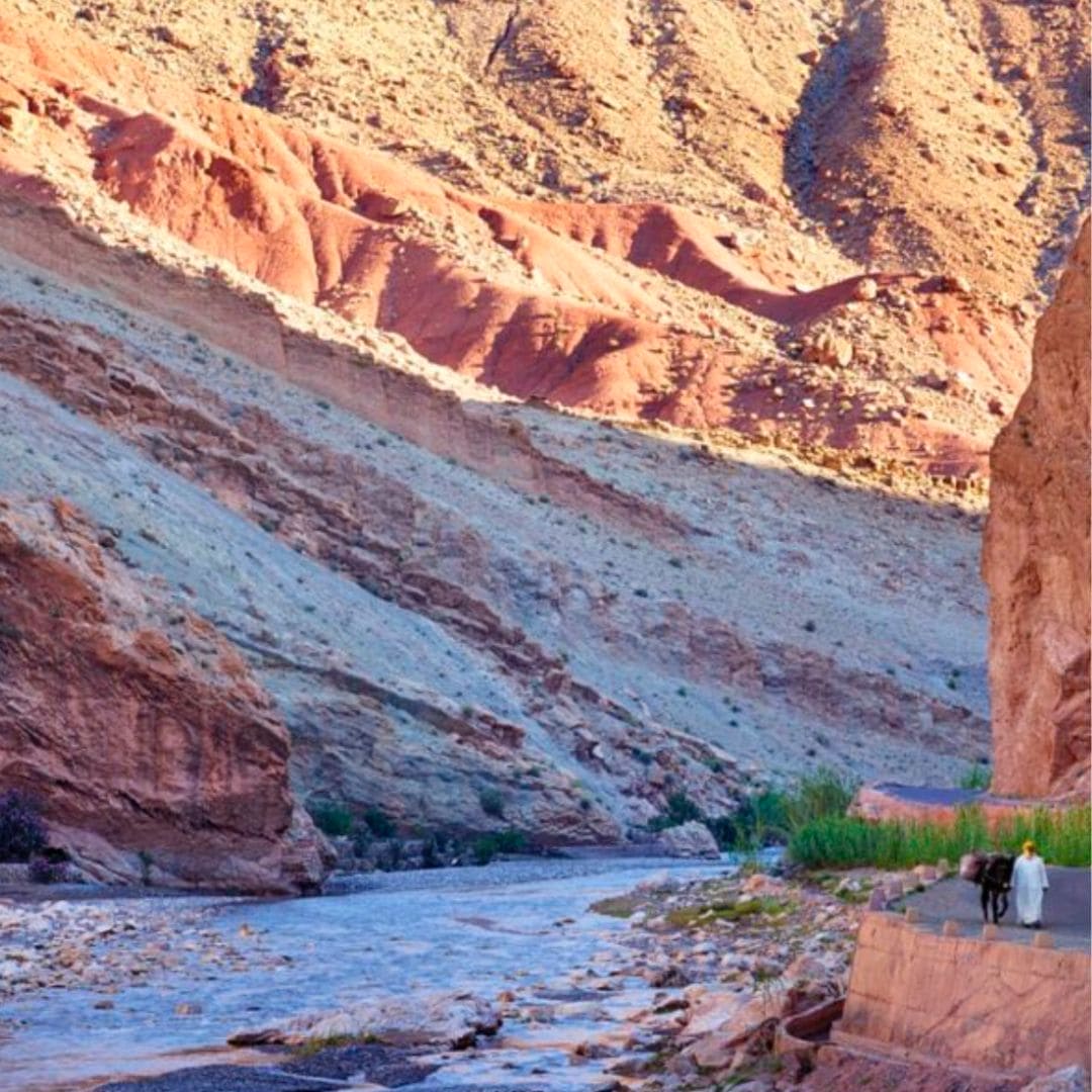 Argan Oil, 100% Organic Beautyologie