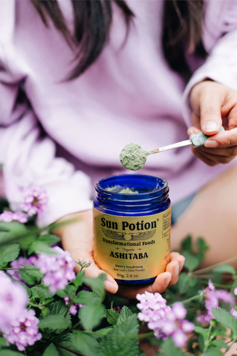 Ashitaba Leaf & Stem Powder (Wild Harvested) Sun Potion