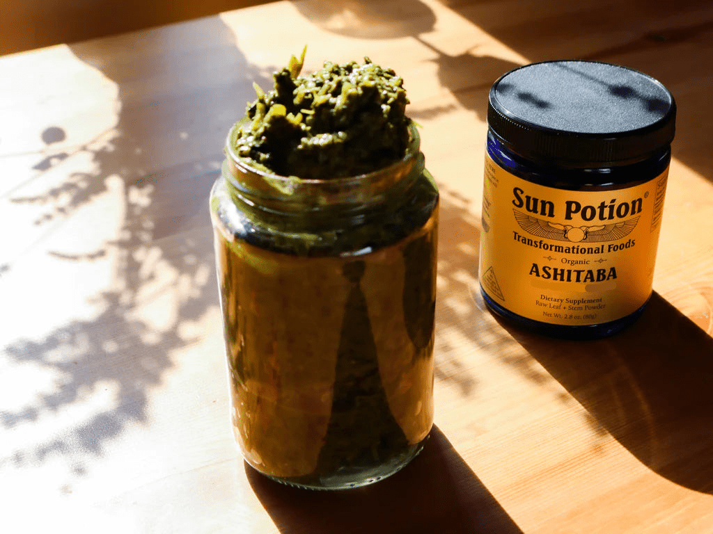 Ashitaba Leaf & Stem Powder (Wild Harvested) Sun Potion