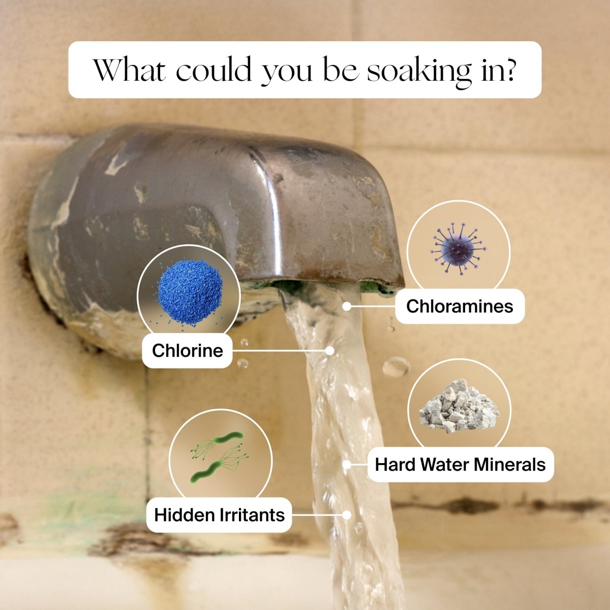 Bath Tub Filter Canopy
