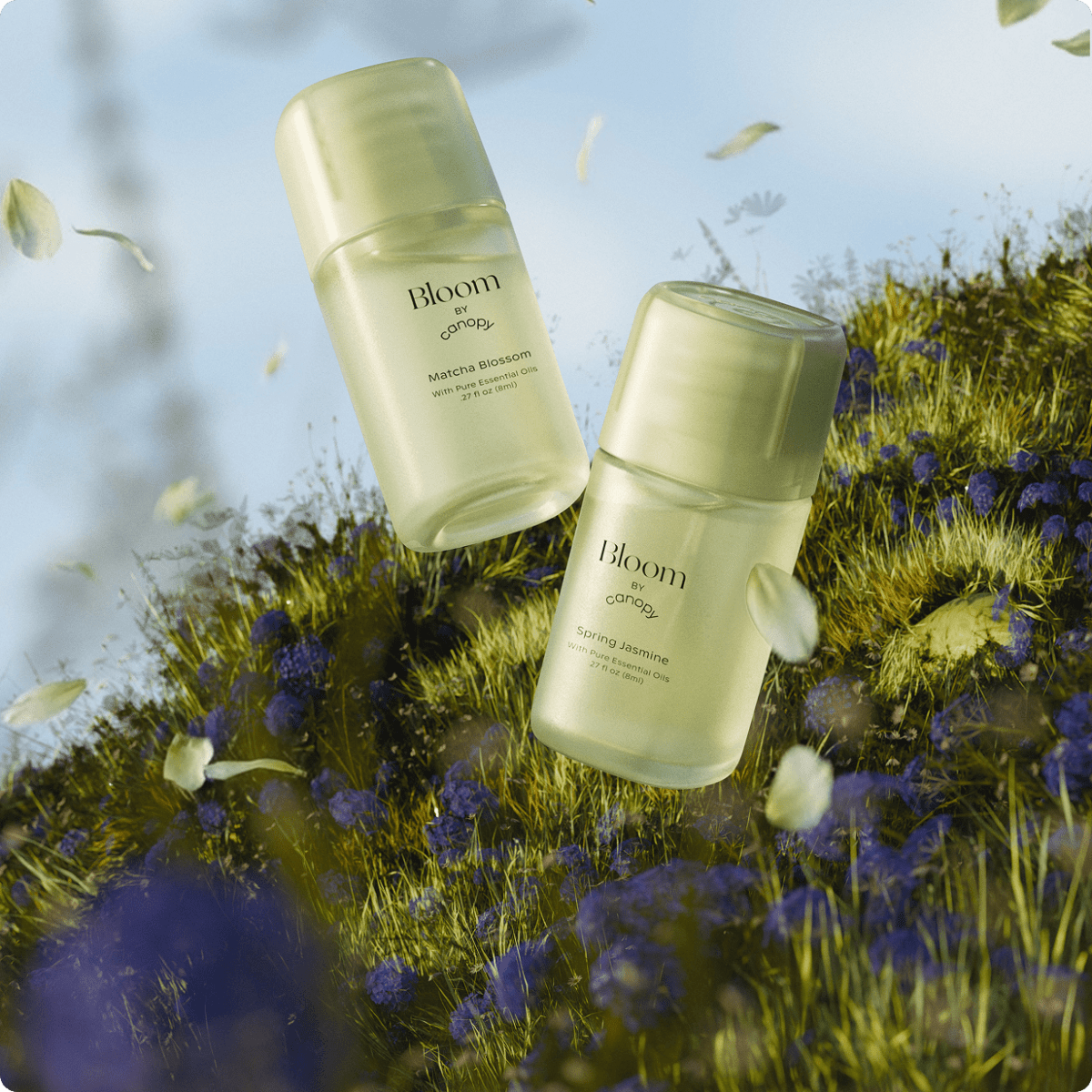 Bloom Aroma Kit Canopy