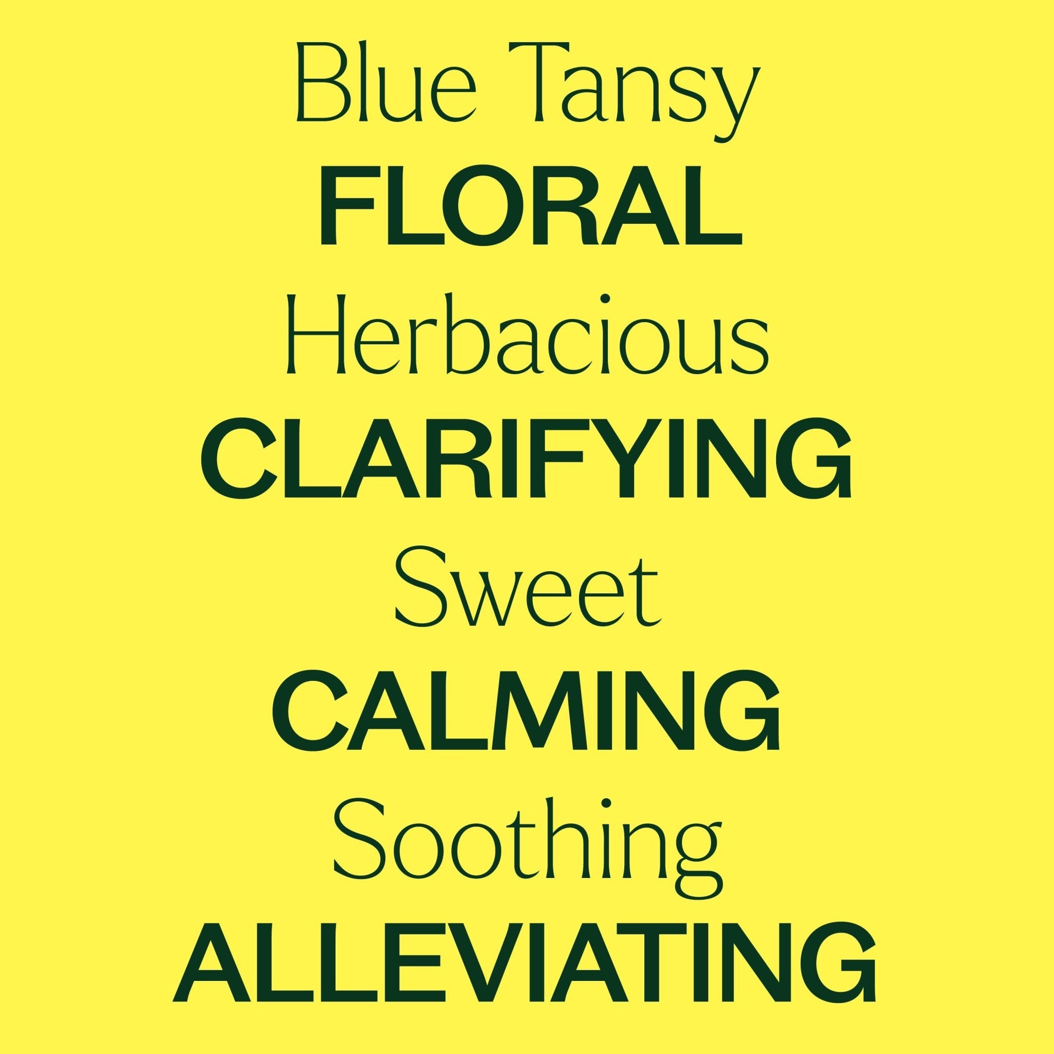Blue Tansy Essential Oil Plant Therapy