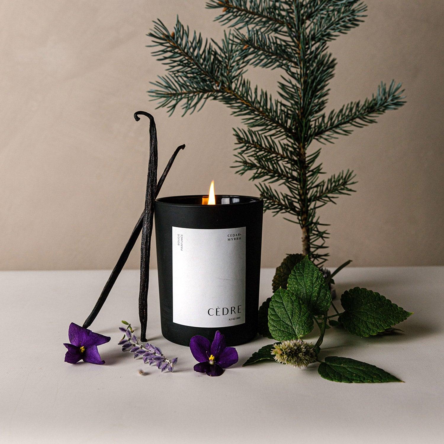 Bougie Parfumée Cèdre CEDAR AND MYRRH