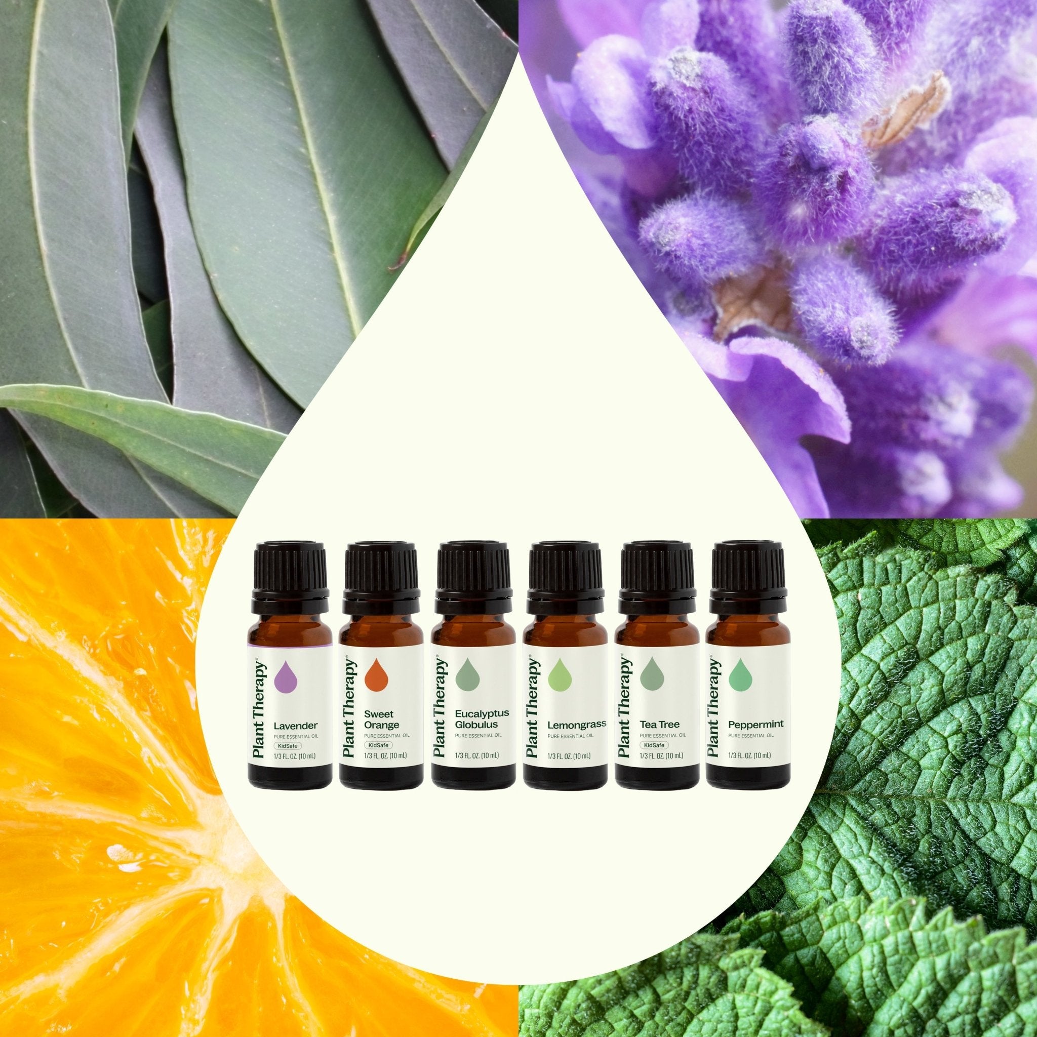 Breathe Easy Set Plant Therapy