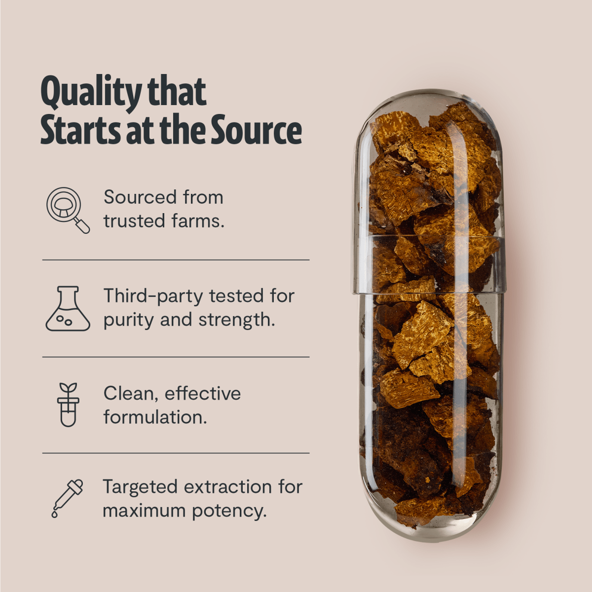 FreshCap Mushrooms Chaga Capsules: quality starts at the source, with chaga in a clear capsule