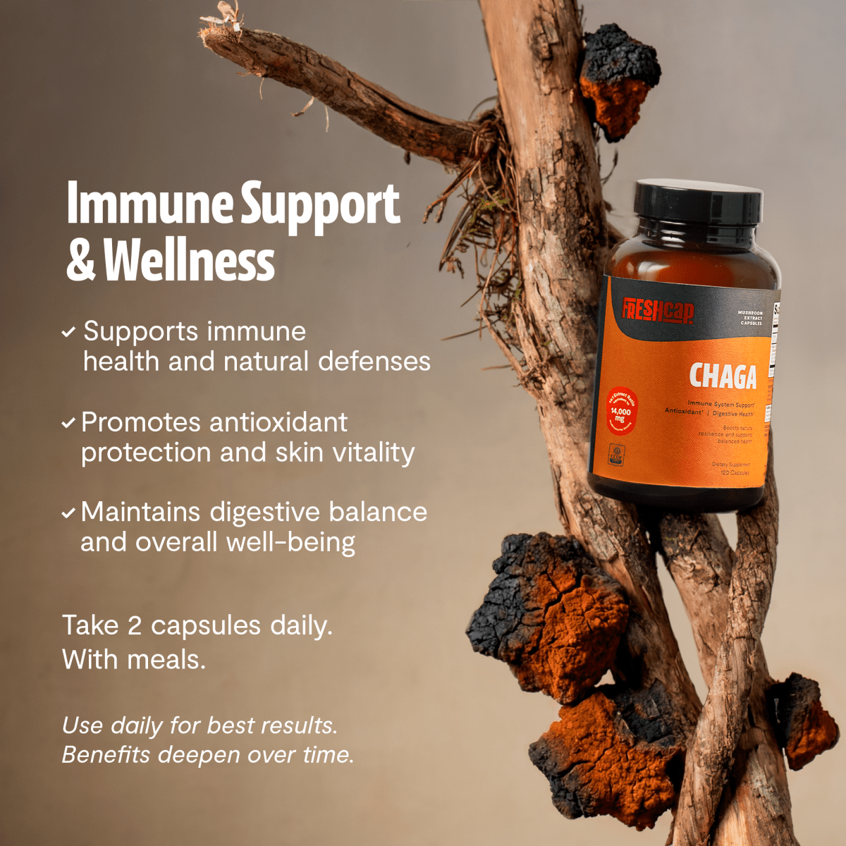 FreshCap Mushrooms Chaga Capsules on a tree branch: immune support and wellness