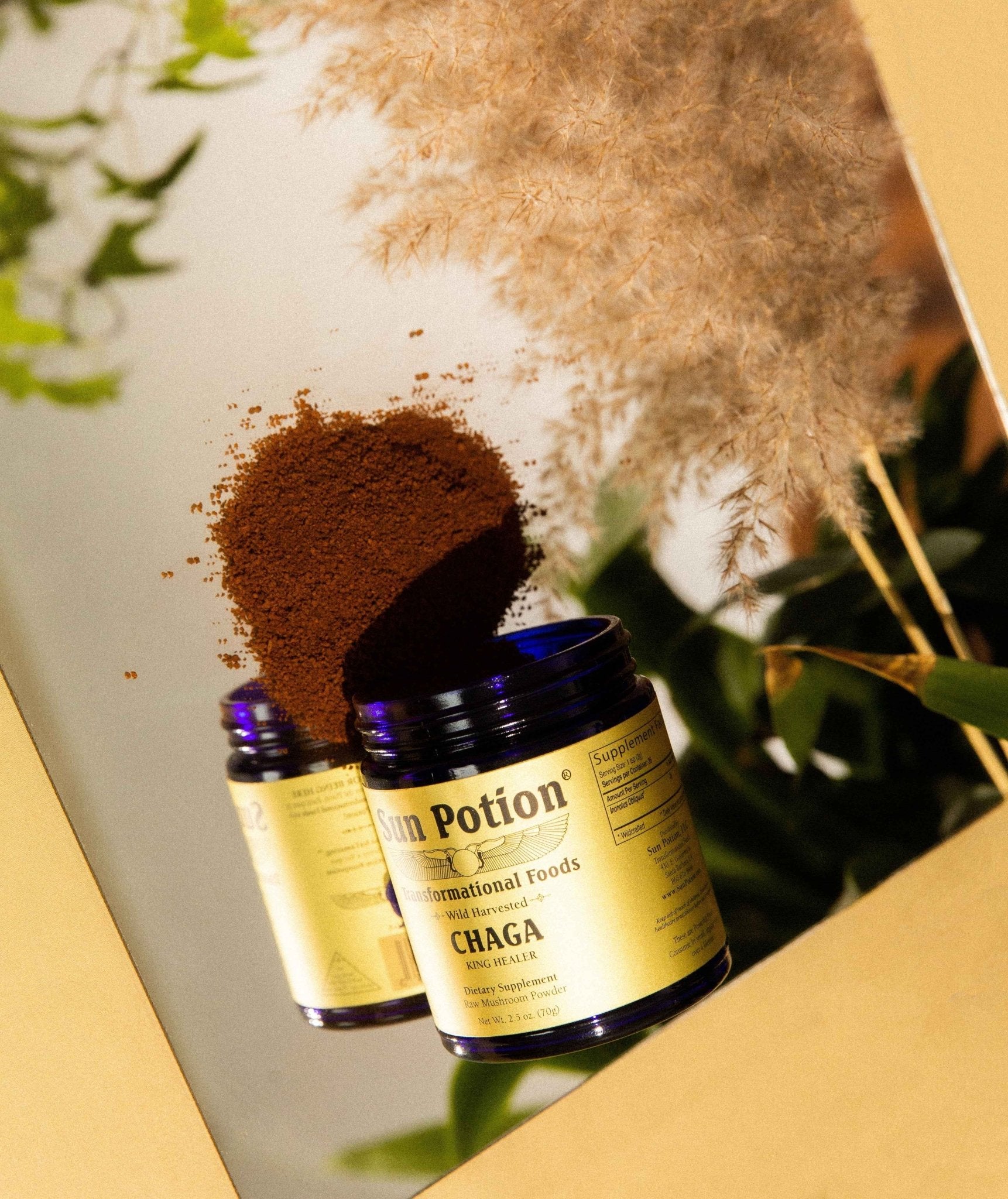 Chaga Mushroom Powder (Wildcrafted) Sun Potion