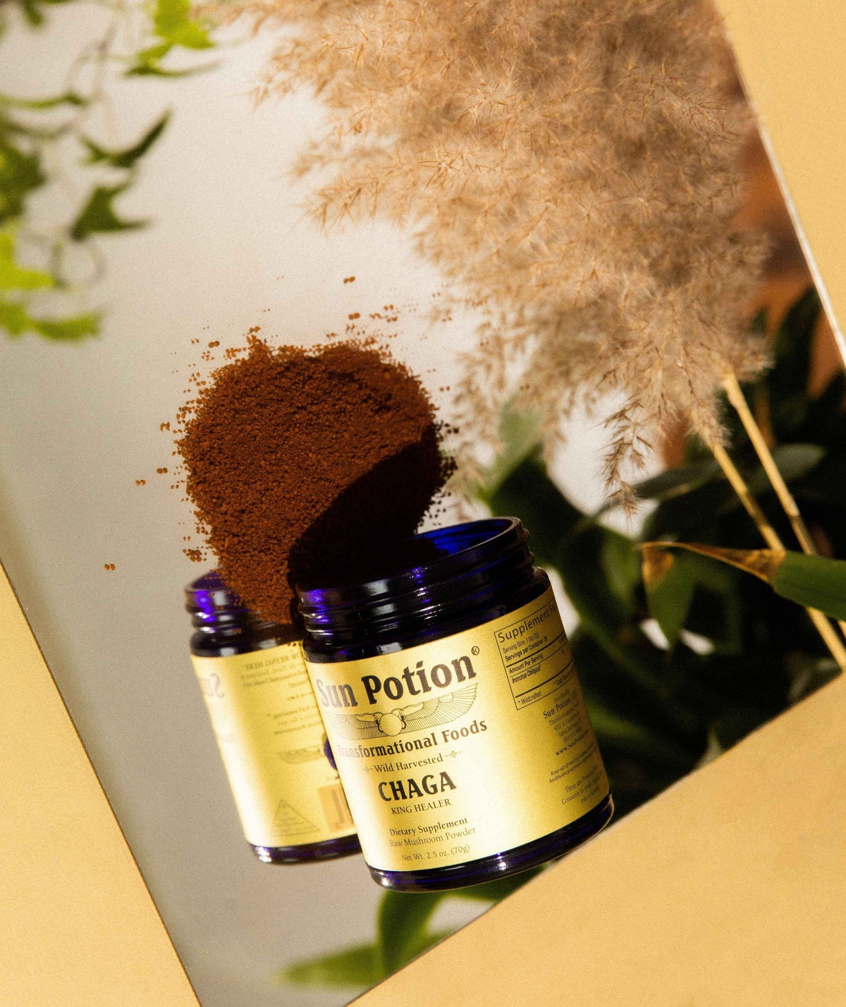 Sun Potion Chaga jars tipped over with brown powder spilled across a gold surface beside pampas grass