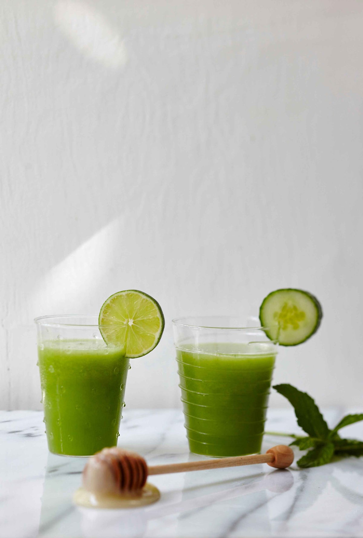 Chlorella - Travel Ally Edition