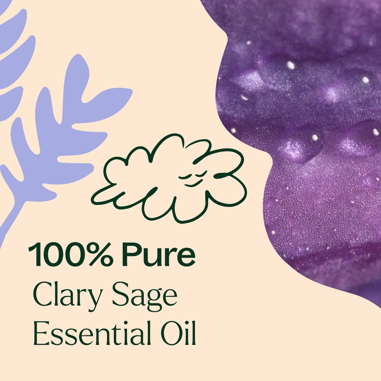 Clary Sage Essential Oil Plant Therapy
