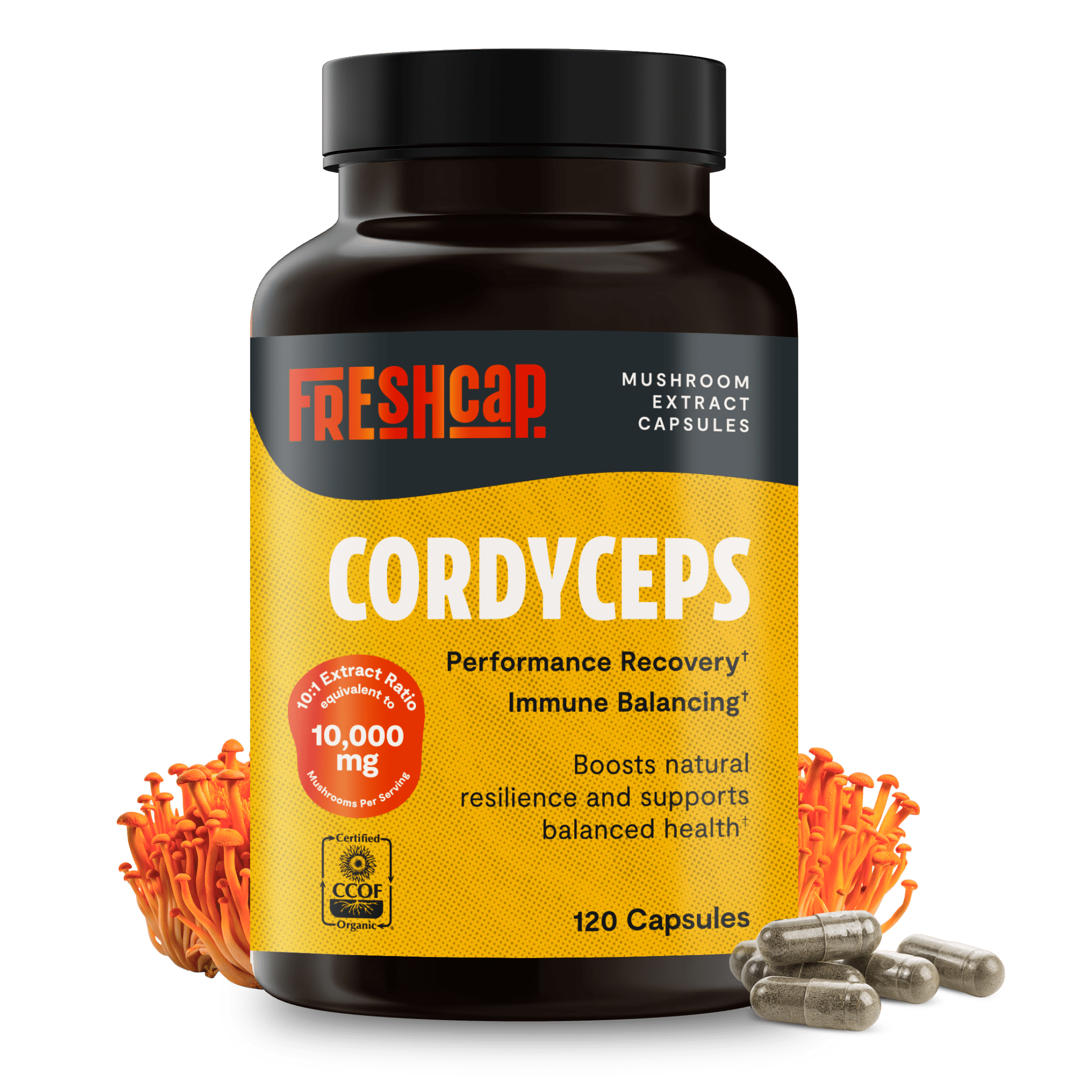 Cordyceps Mushroom Extract Capsules FreshCap Mushrooms