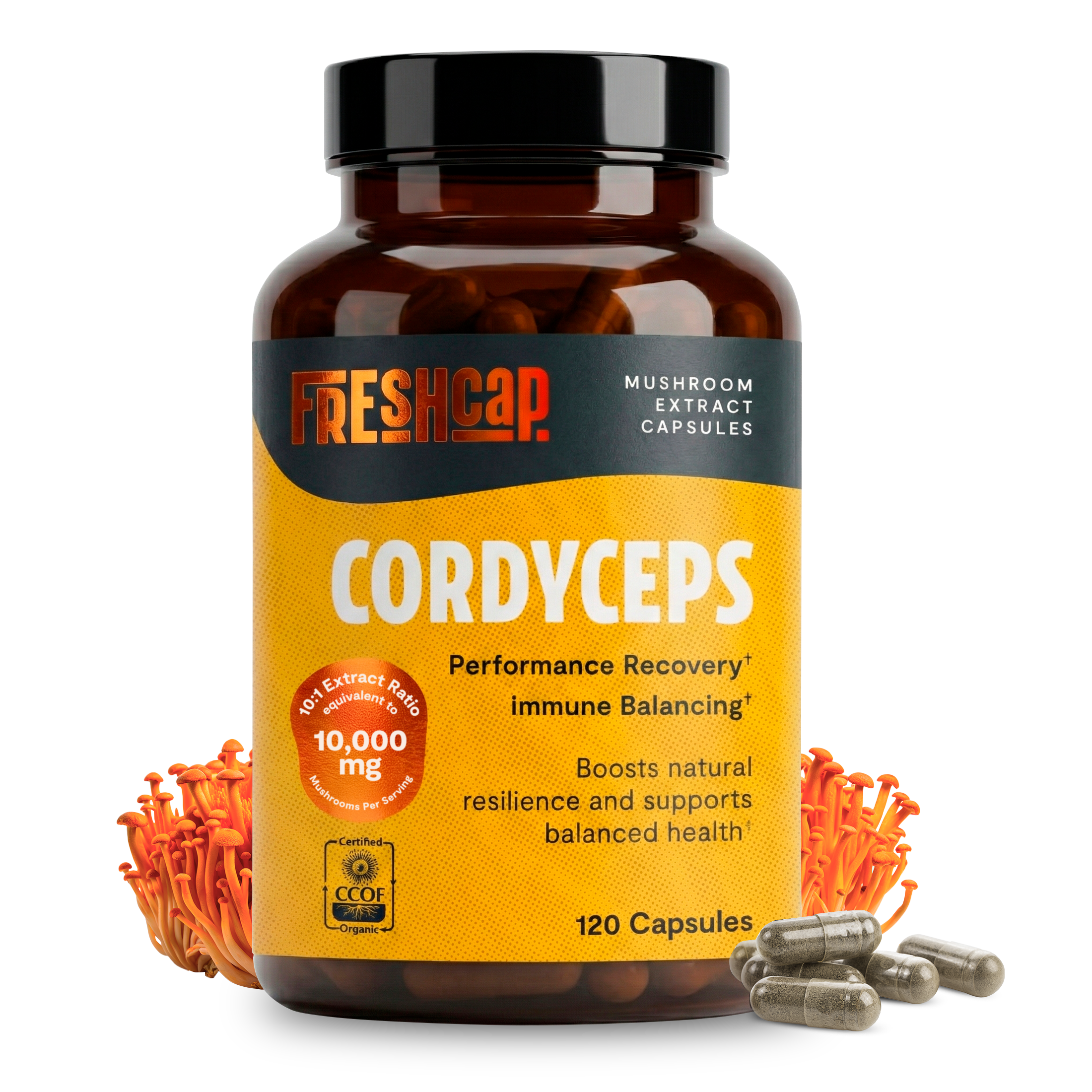 Cordyceps Mushroom Extract Capsules