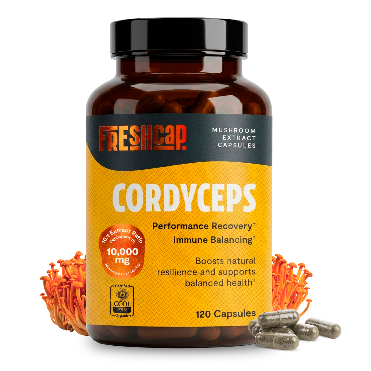 FreshCap Mushrooms Cordyceps Capsules bottle: performance, recovery and immune balancing, 10,000mg, 120 capsules