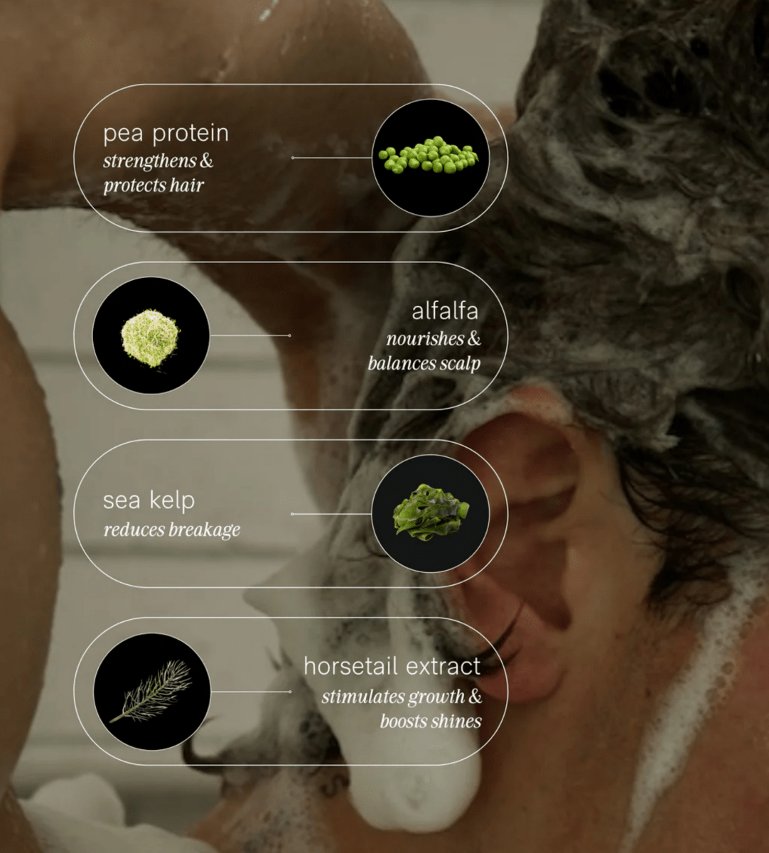 Jack Henry Creamy Shampoo ingredients: pea protein, alfalfa, sea kelp and horsetail extract, over a man washing his hair