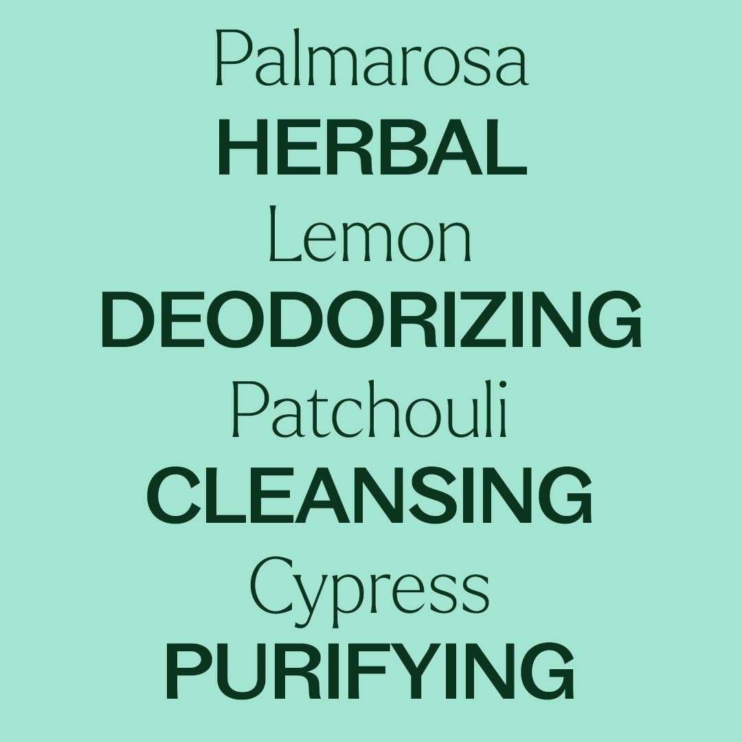 Deodorizing Essential Oil Blend Plant Therapy