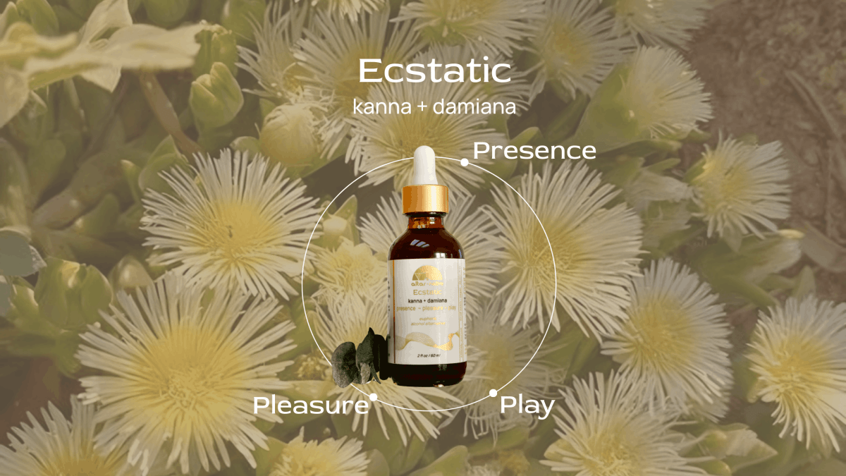 Ecstatic ⟡ Kanna & Damiana Drops Altar Native