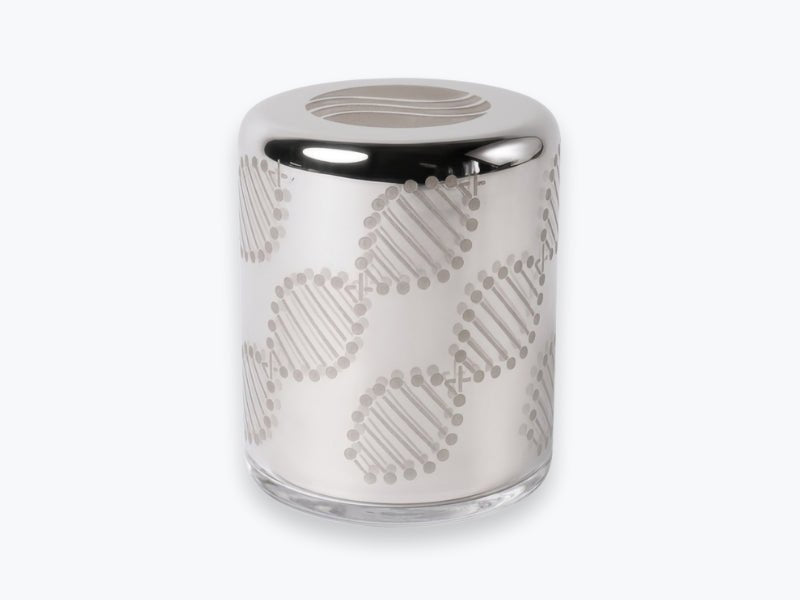 Elaura Silver Somavedic USA
