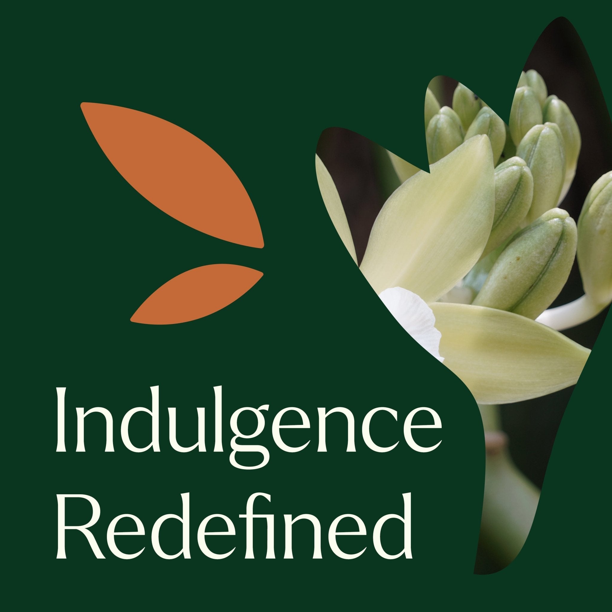 Evoke Velvet Glow Body Oil Plant Therapy