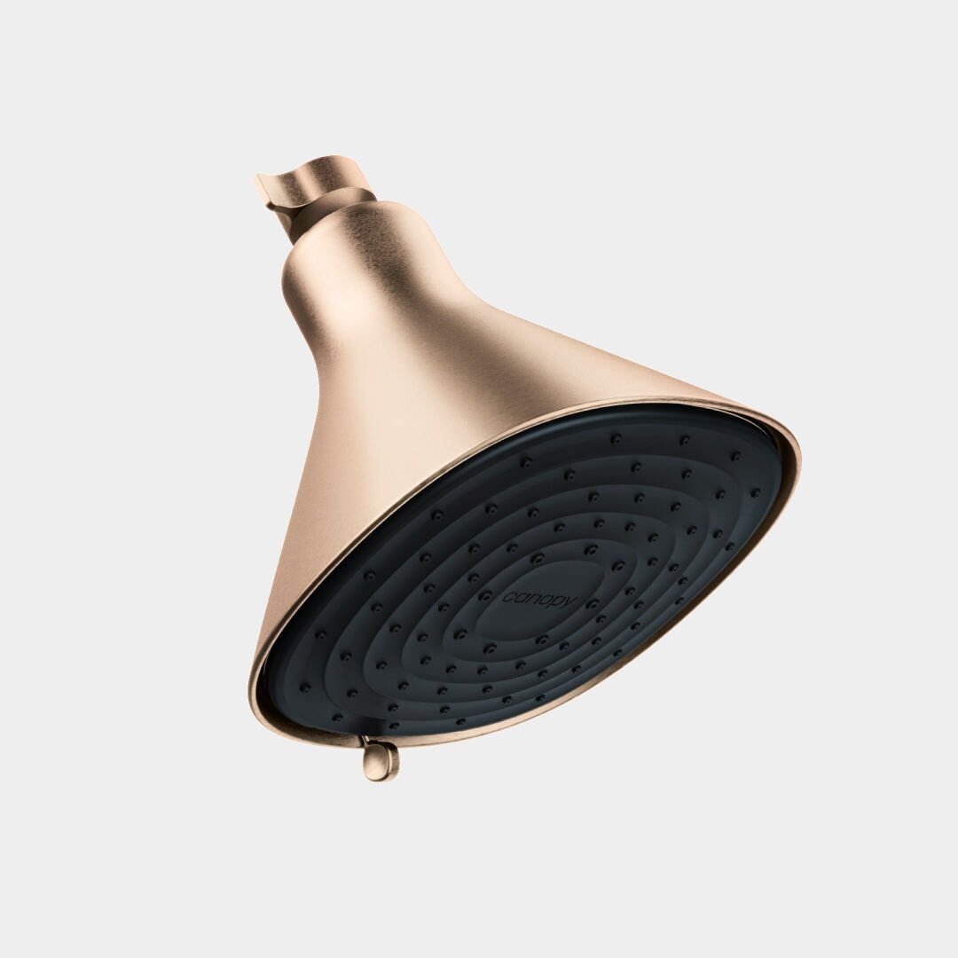 Filtered Showerhead Canopy