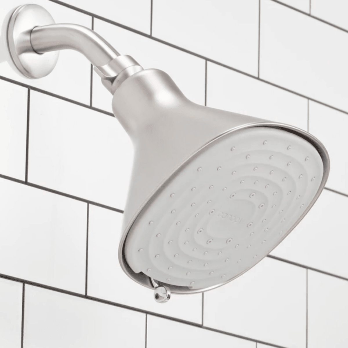 Filtered Showerhead Canopy